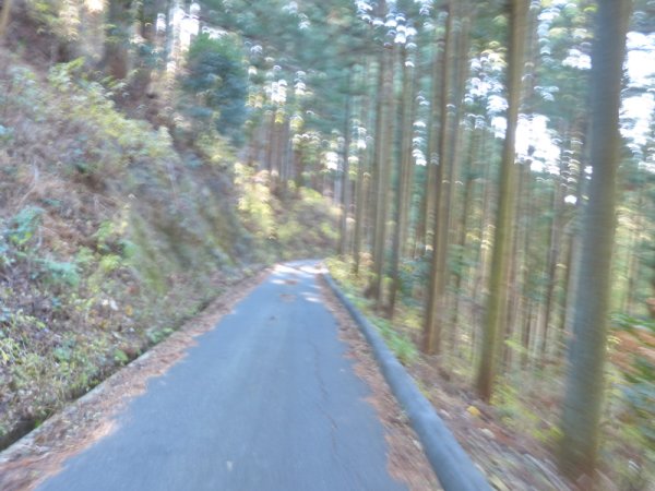 画像39