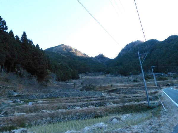 四谷の千枚田