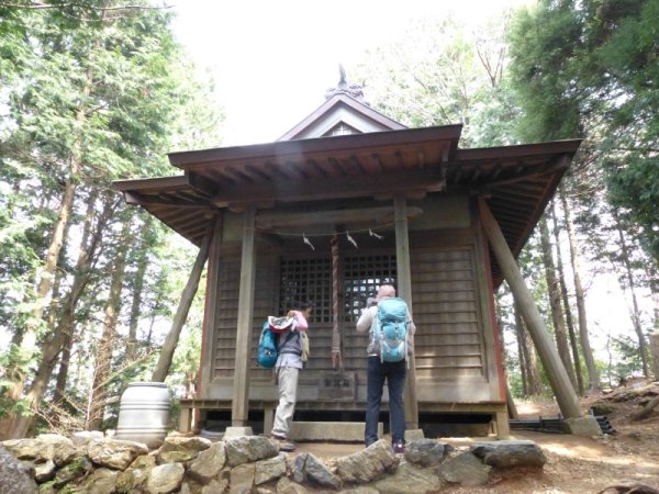 道樹山