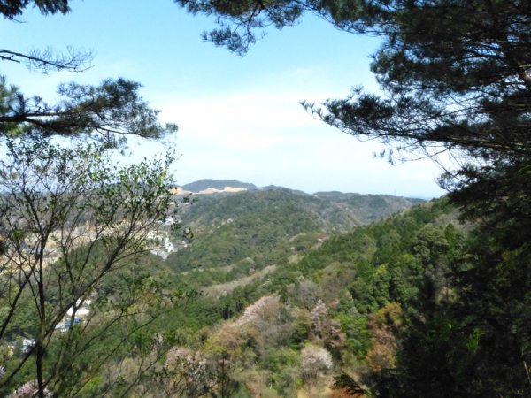 画像25