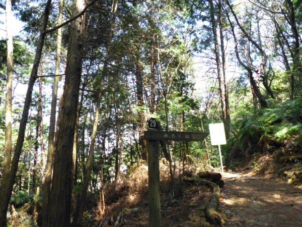 画像28