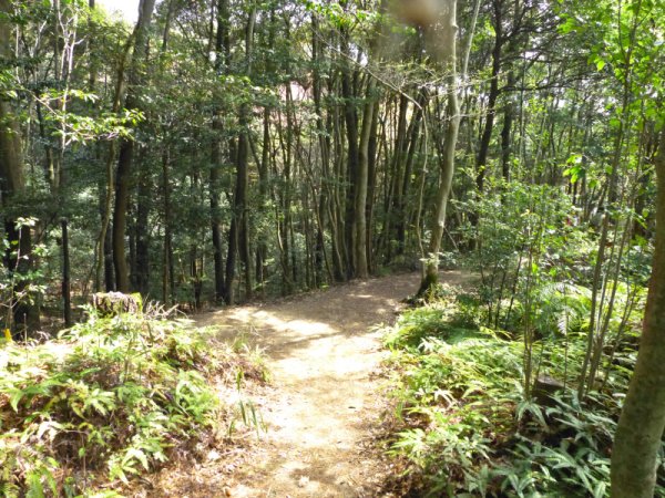 画像34