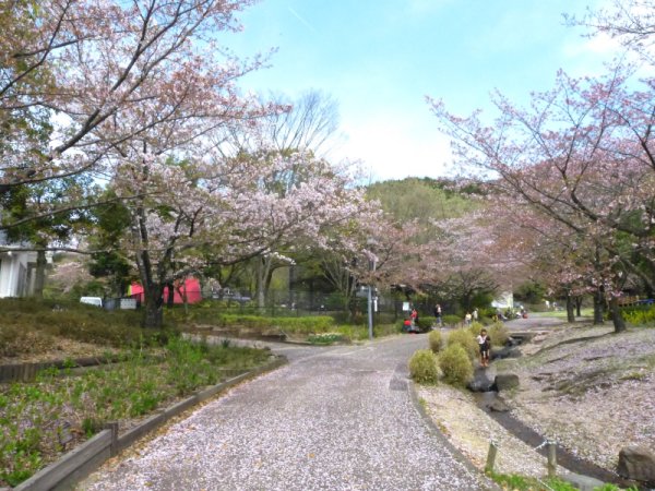 都市緑化植物園