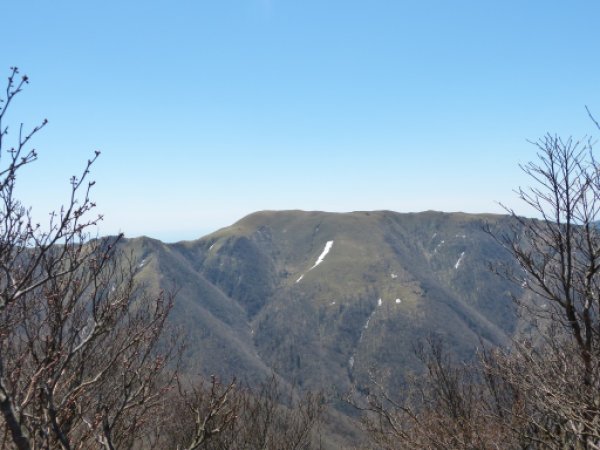 静ヶ岳