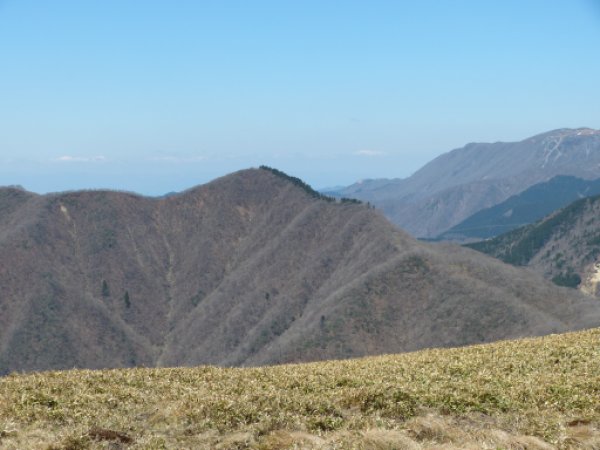 画像48
