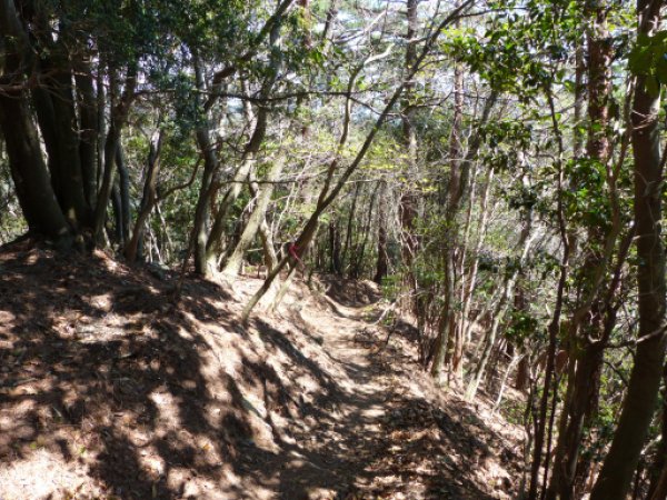 蛇谷分岐