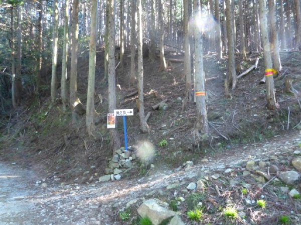 遠足尾根登山口