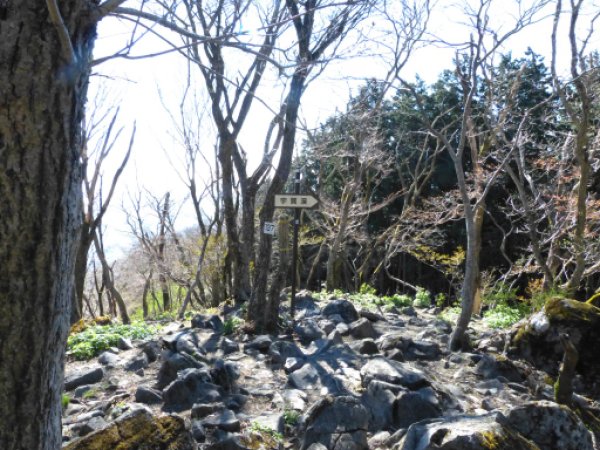 画像13