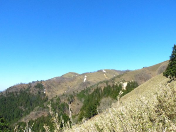 画像16