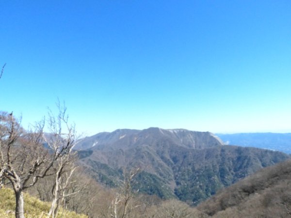 画像25