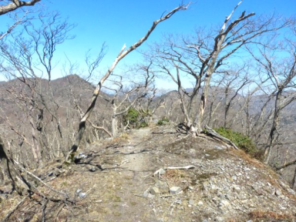 画像30