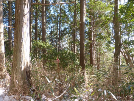 大鈴山 分岐点
