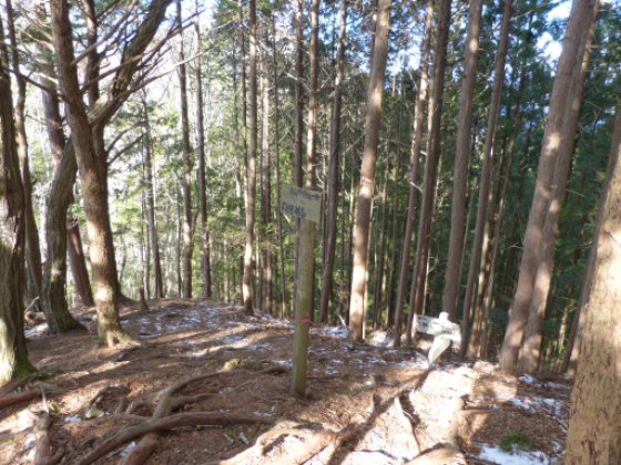 岩古谷山と平山明神の分岐点