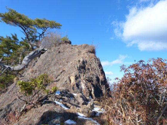 画像21
