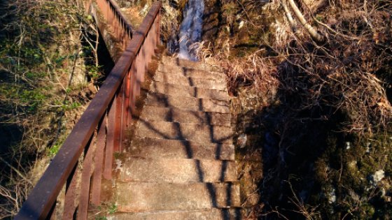 画像38