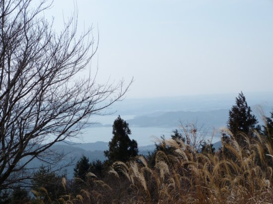 画像16