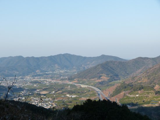 画像4