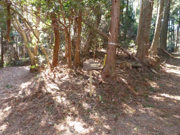 画像30