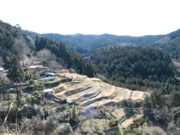画像36