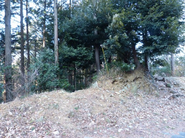 画像9