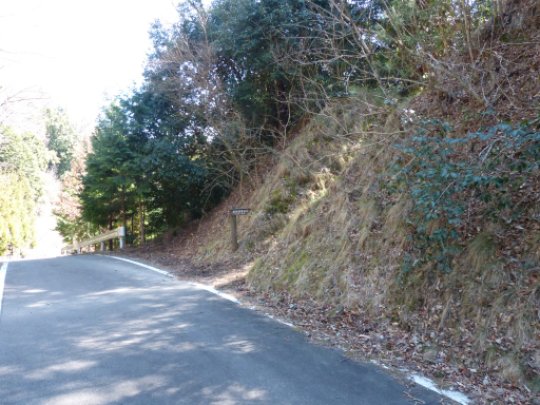 武田道