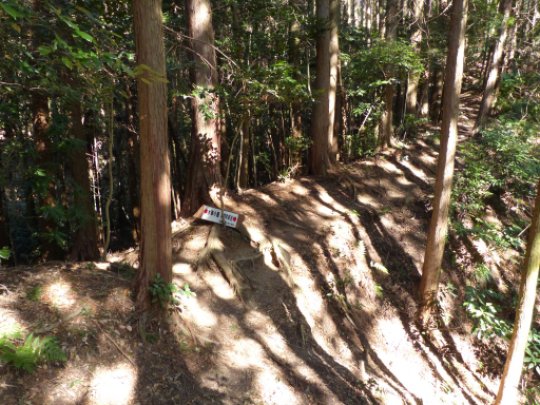 画像8