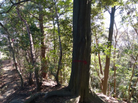 画像10