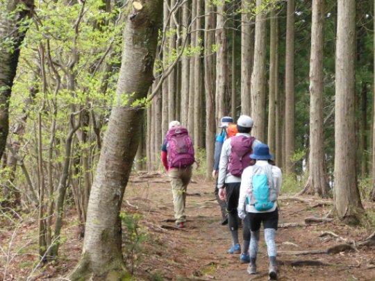 陣馬高原下方面分岐