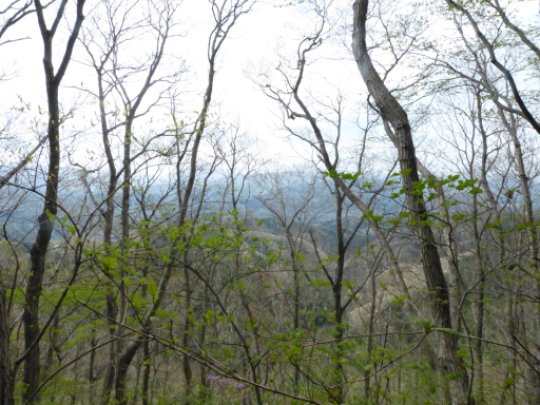 奈良子峠