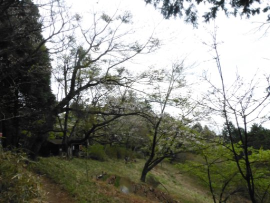 画像24