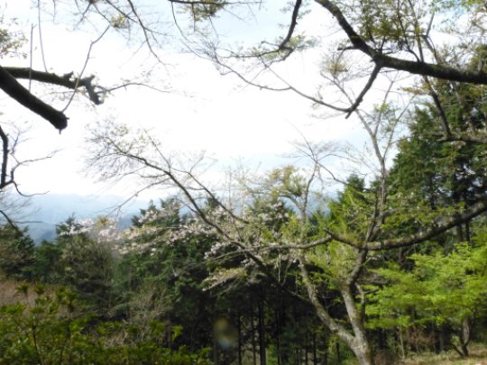 明王峠