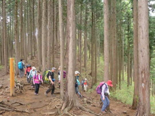 堂所山南巻き道分岐