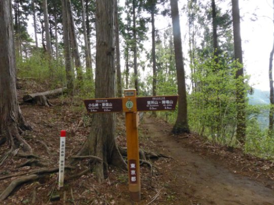 画像38