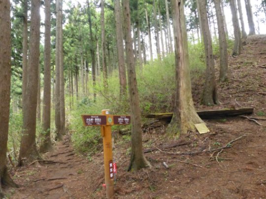 画像39