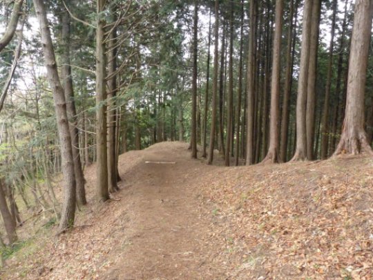 画像41