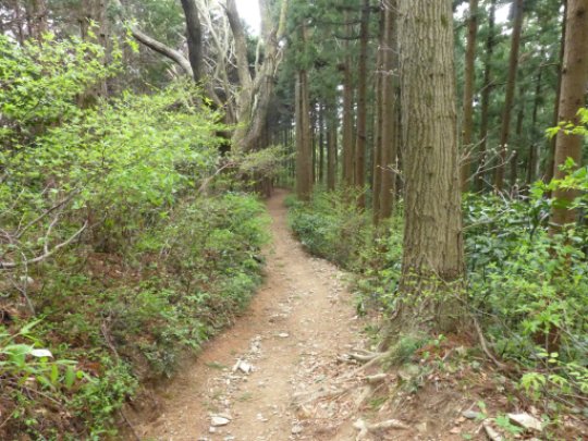 画像54