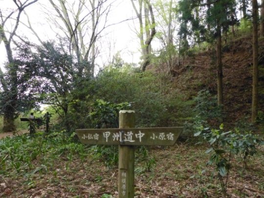 画像57