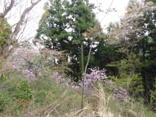 画像70