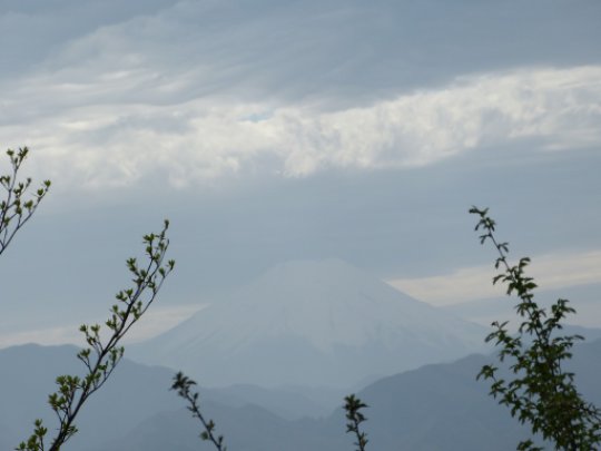 高尾山