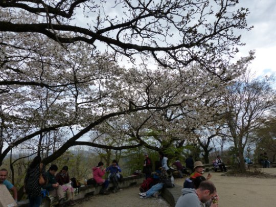 高尾山