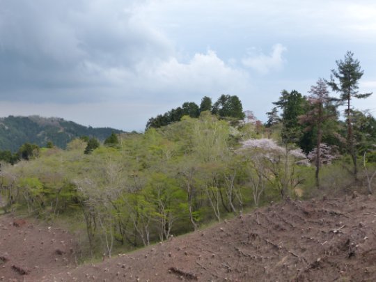 画像87