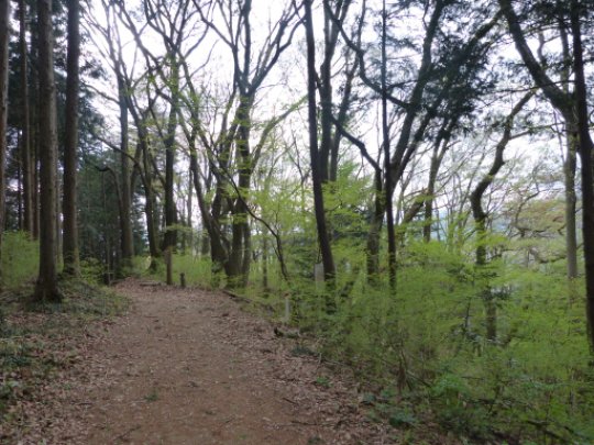 峰尾山