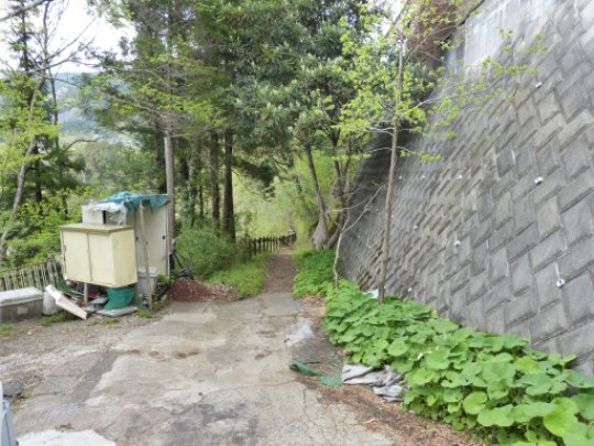 画像103