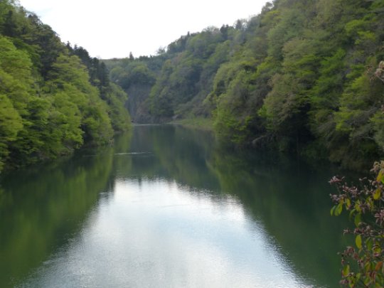 画像111
