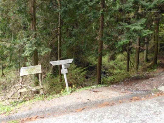陣馬新道登山口
