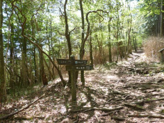 棚山高原、仏坂峠、宇連山分岐