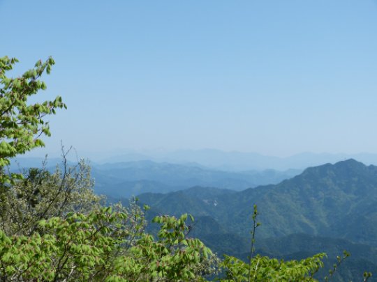 画像17