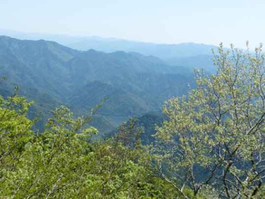 画像18