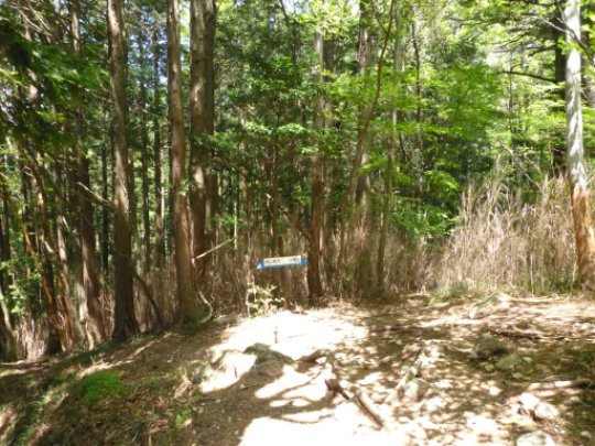 宇連山分岐