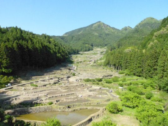 鞍掛山麓の四谷の千枚田